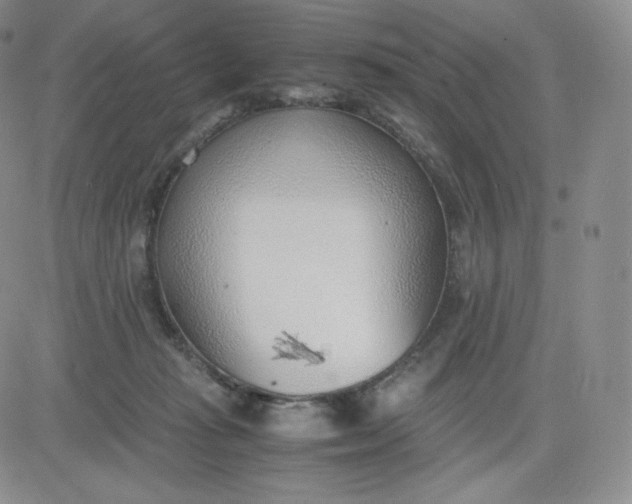 X0000081290269200701251700