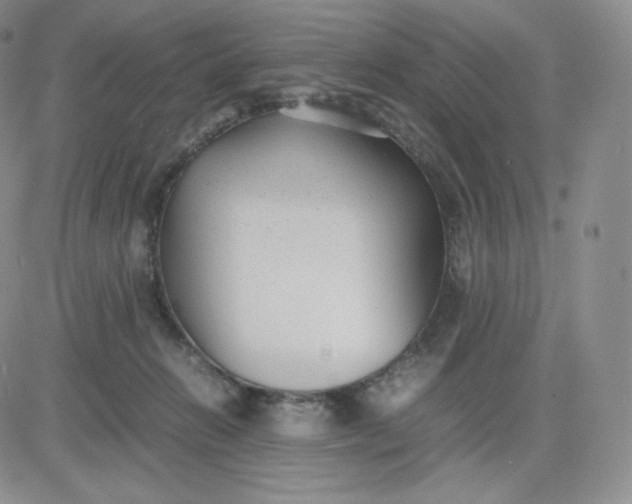 X0000081290270200701251700