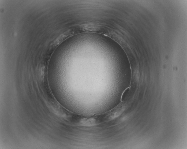 X0000081290271200701251700