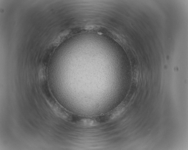 X0000081290272200701251700