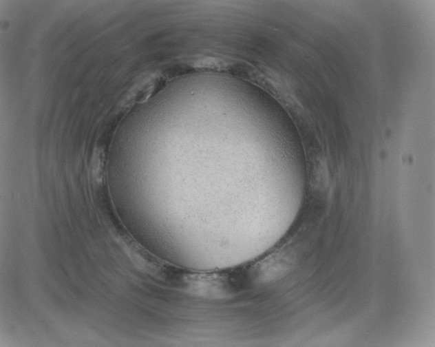 X0000081290273200701251700