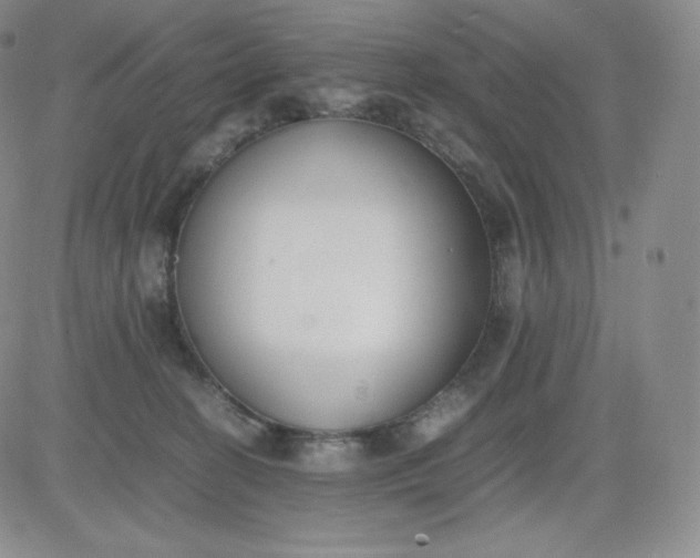 X0000081290274200701251700