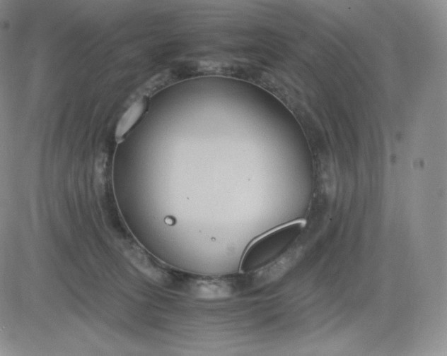 X0000081290275200701251700