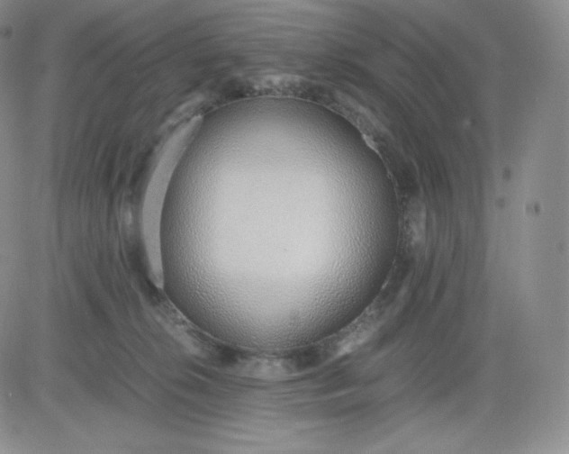 X0000081290276200701251700