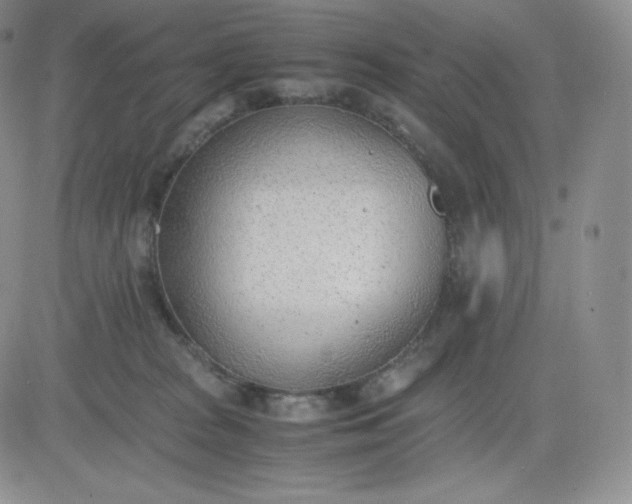 X0000081290277200701251700