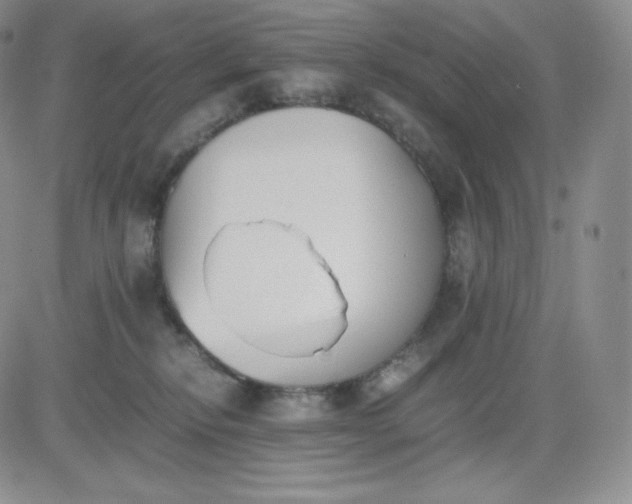 X0000081290278200701251700