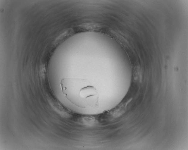 X0000081290279200701251700