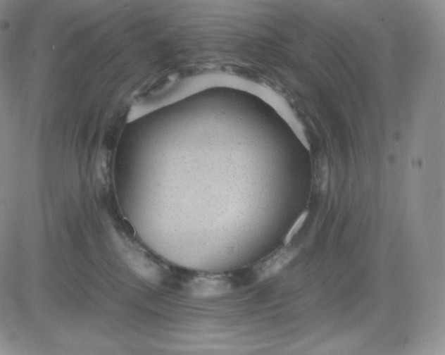 X0000081290280200701251700