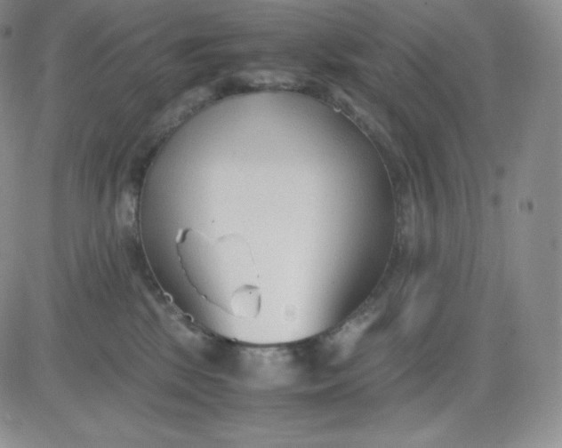 X0000081290281200701251700