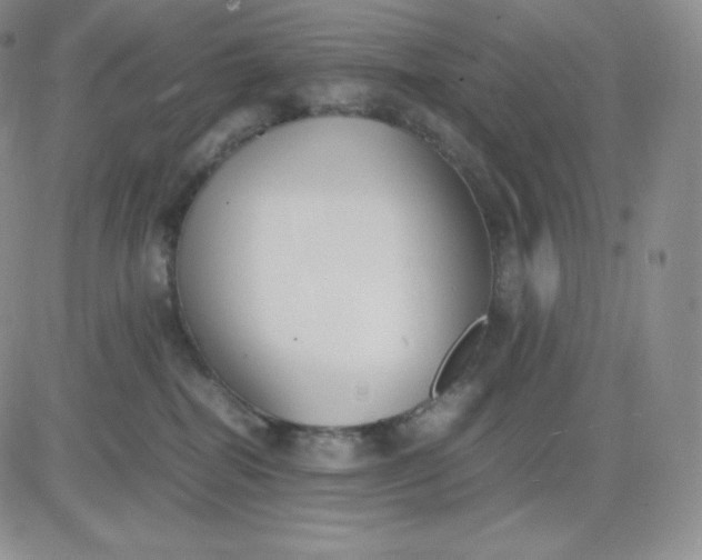 X0000081290282200701251700