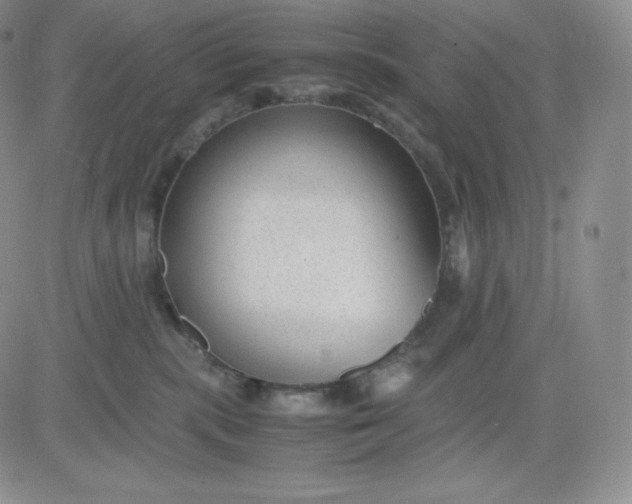 X0000081290283200701251700