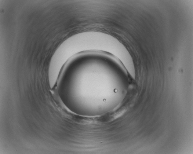 X0000081290284200701251700