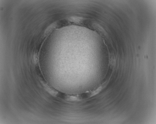 X0000081290285200701251700