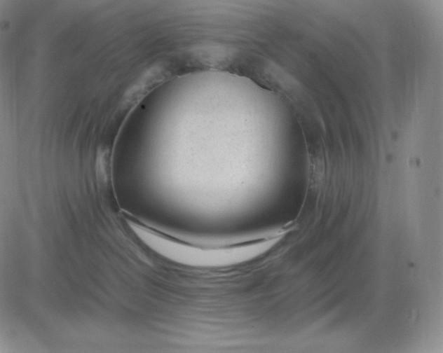 X0000081290286200701251700