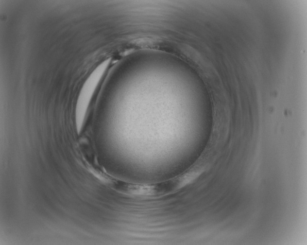 X0000081290288200701251700