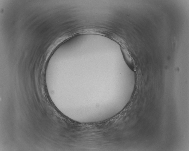 X0000081290289200701251700