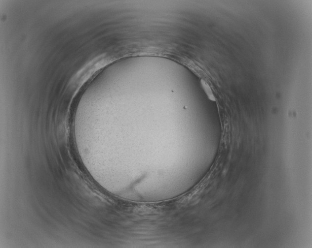 X0000081290290200701251700