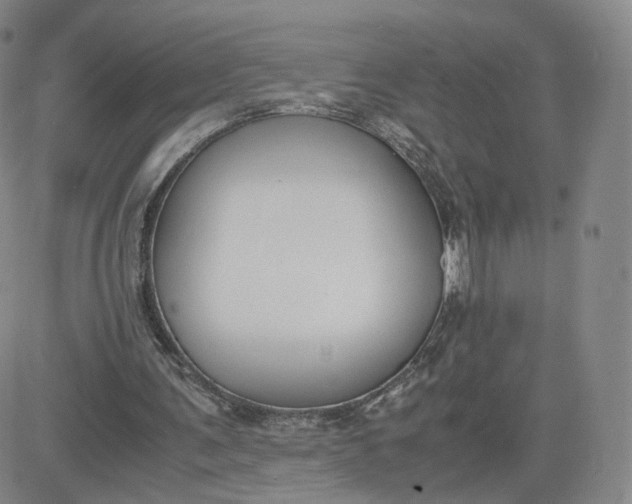 X0000081290291200701251700