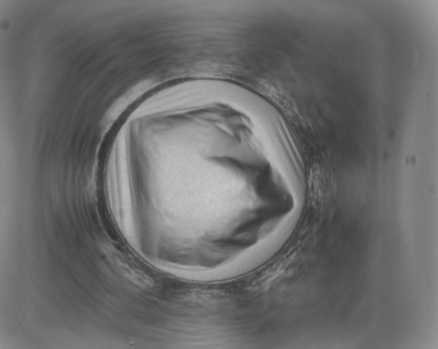 X0000081290292200701251700