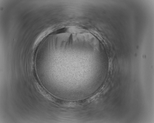 X0000081290293200701251700