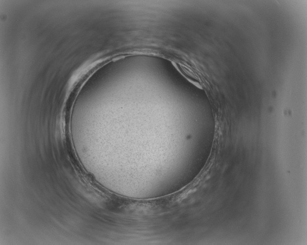 X0000081290294200701251700