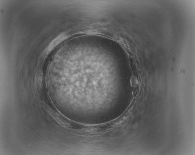 X0000081290295200701251700