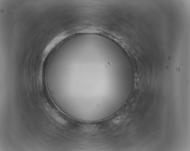 X0000081290296200701251700