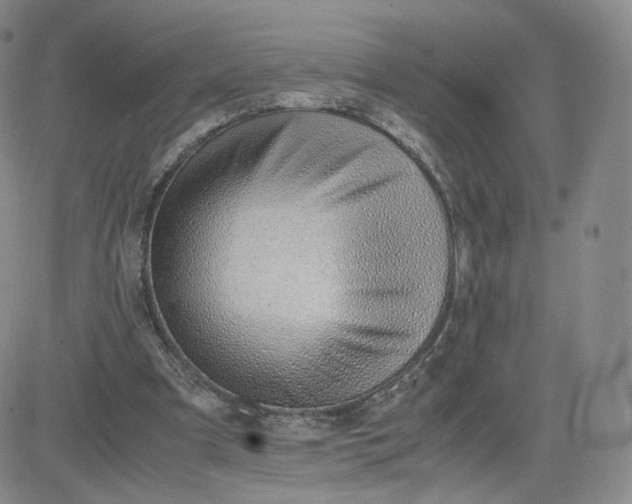 X0000081290297200701251700