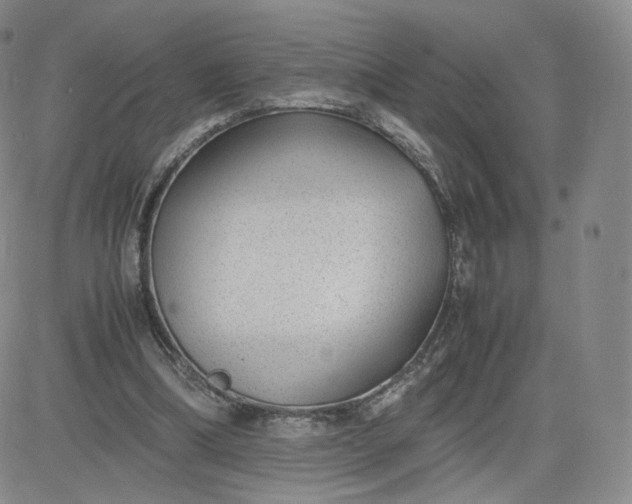 X0000081290298200701251700