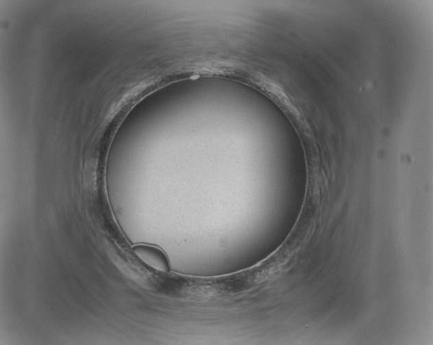 X0000081290299200701251700