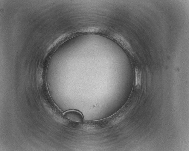 X0000081290300200701251659