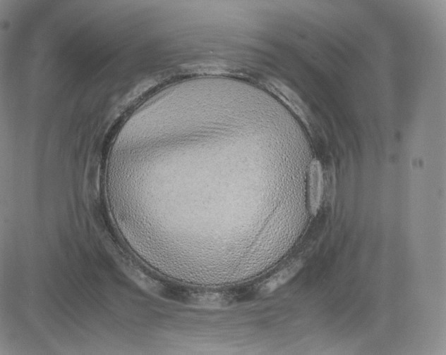 X0000081290301200701251659