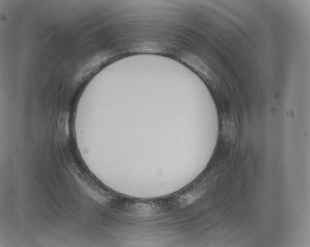 X0000081290302200701251659