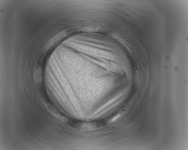 X0000081290303200701251659