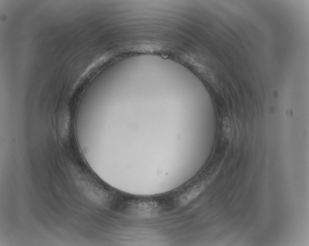 X0000081290304200701251659