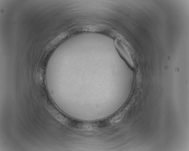 X0000081290305200701251659