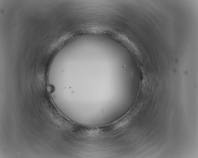 X0000081290306200701251659