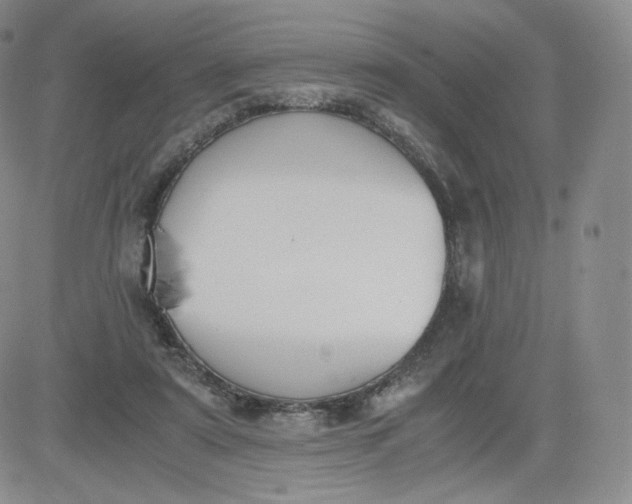 X0000081290307200701251659