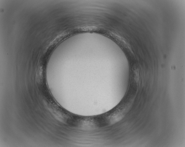 X0000081290308200701251659