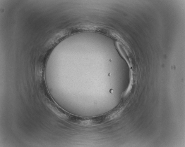 X0000081290309200701251659