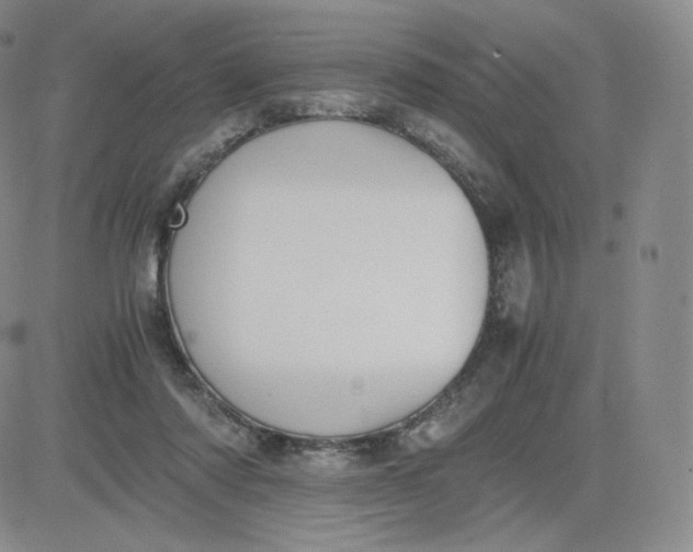 X0000081290310200701251659