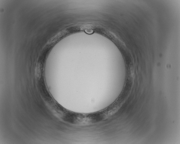 X0000081290311200701251659