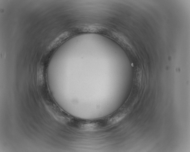 X0000081290312200701251659