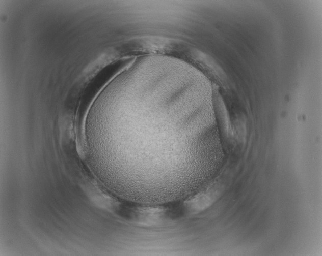 X0000081290313200701251659