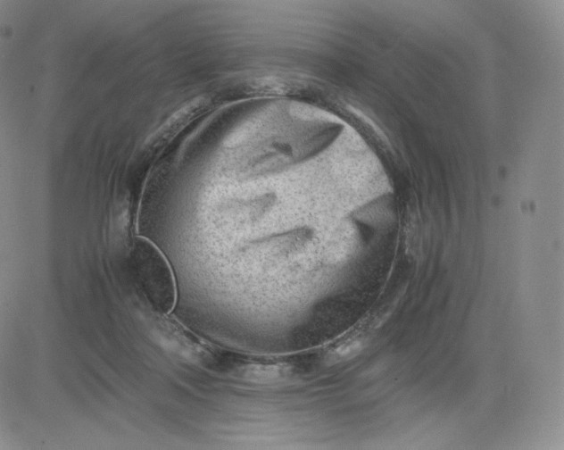 X0000081290314200701251659