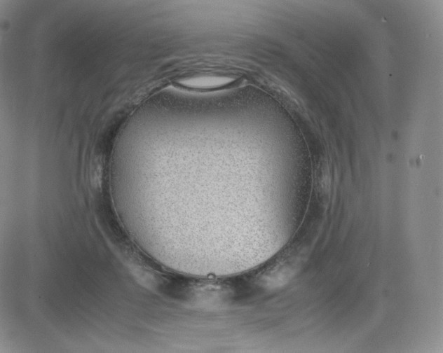 X0000081290315200701251659