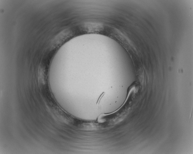 X0000081290316200701251659