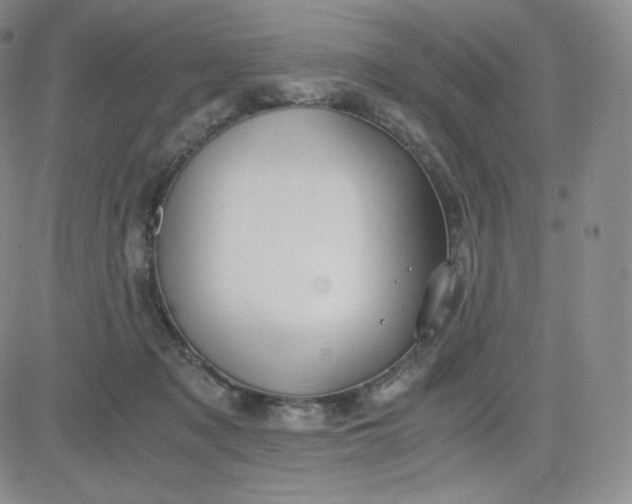 X0000081290317200701251659