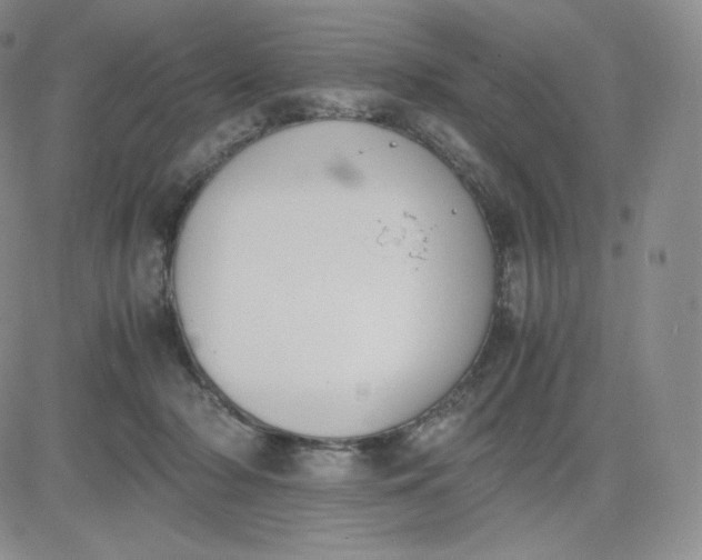 X0000081290318200701251659