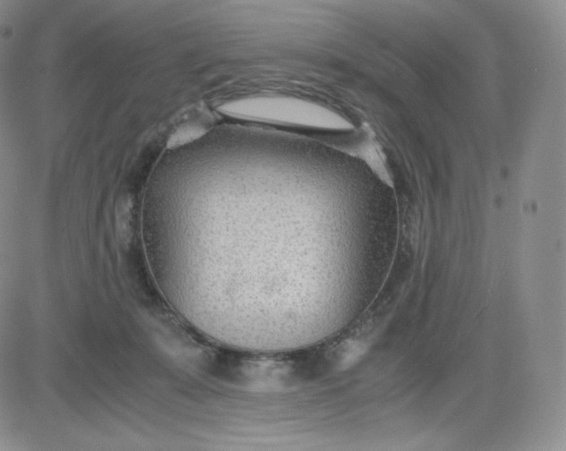 X0000081290319200701251659